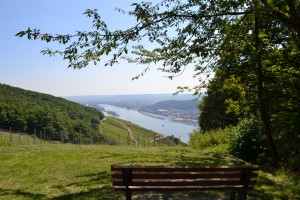 Rheinblick