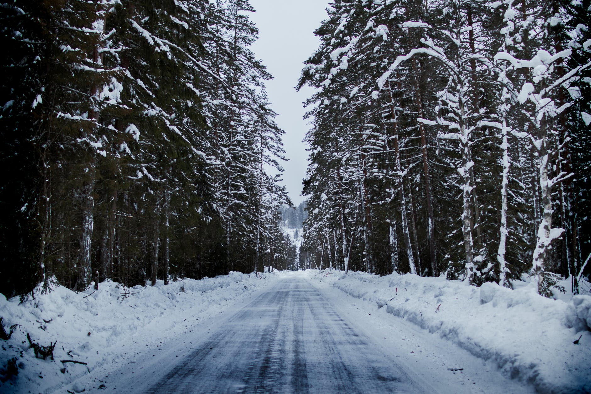 道路の凍結対策 (冬)